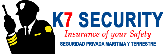 logo k7 securitcccy2